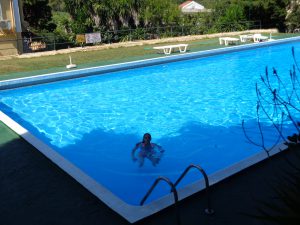 Bain matinal à Corfou