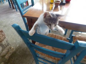 Croc croc croc mignon !