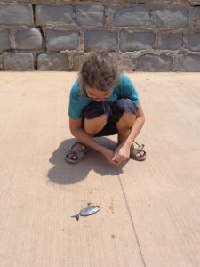 Un poisson attrapé par Calixte.