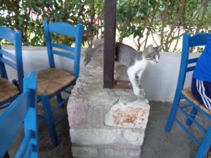 Croc croc croc croc croc mignon!